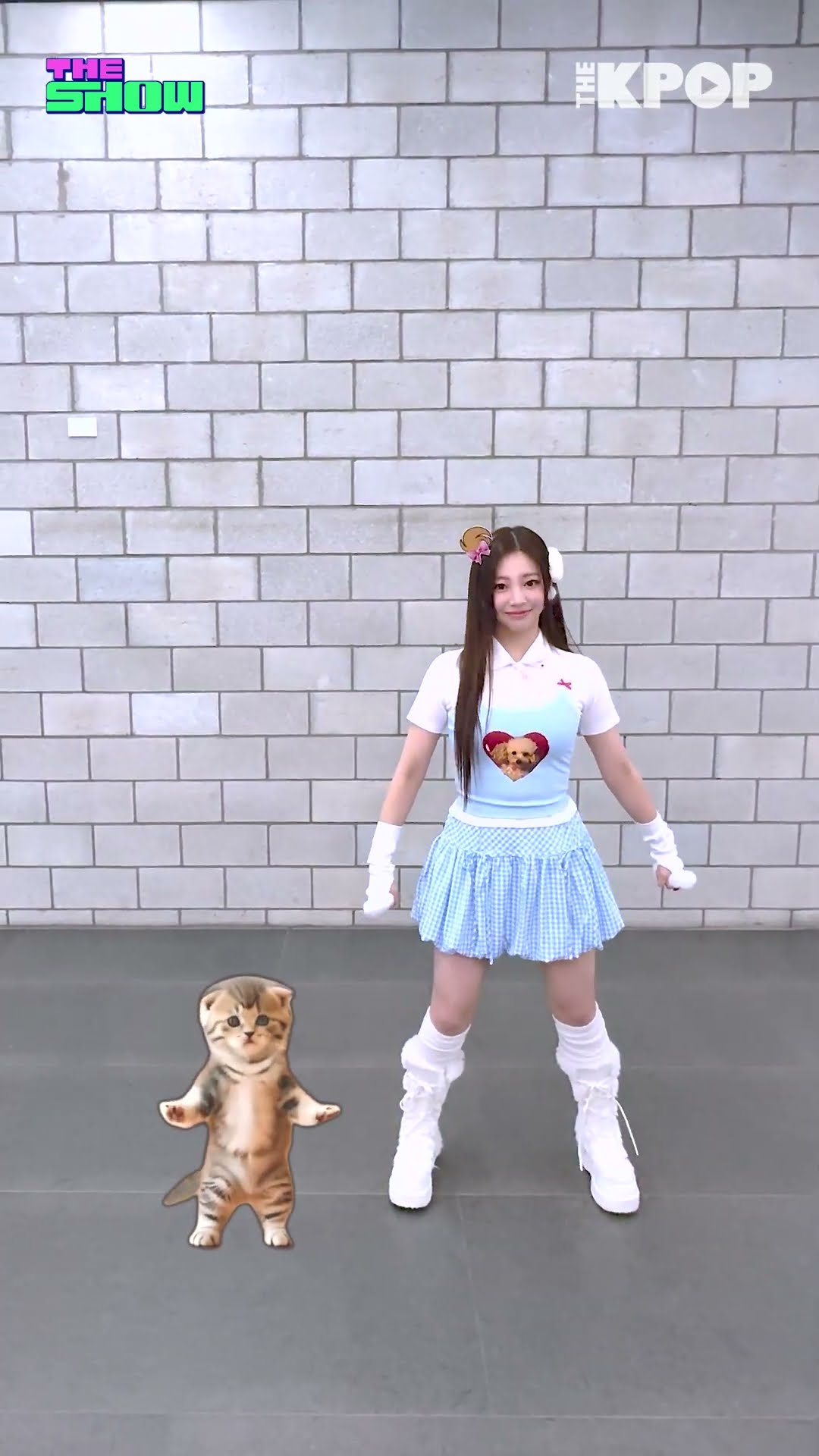 춤추는 고양이를 본 적 있습니까❓바로 여기‼댄싱캣? 푸딩즈 등장 ┐(・。・┐) ♪ #shorts #THEKPOP #THESHOW